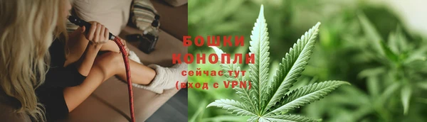 хмурый Вяземский