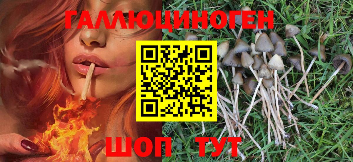 Галлюциногенные грибы Magic Shrooms  цены наркотик  Гулькевичи  Вход с VPN 