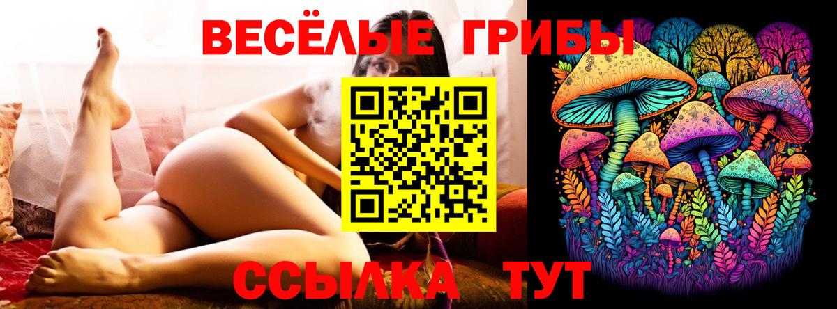 Галлюциногенные грибы мухоморы Гулькевичи